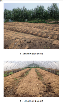 1600150839127094.png image.png