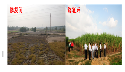 1600151886144888.png image.png